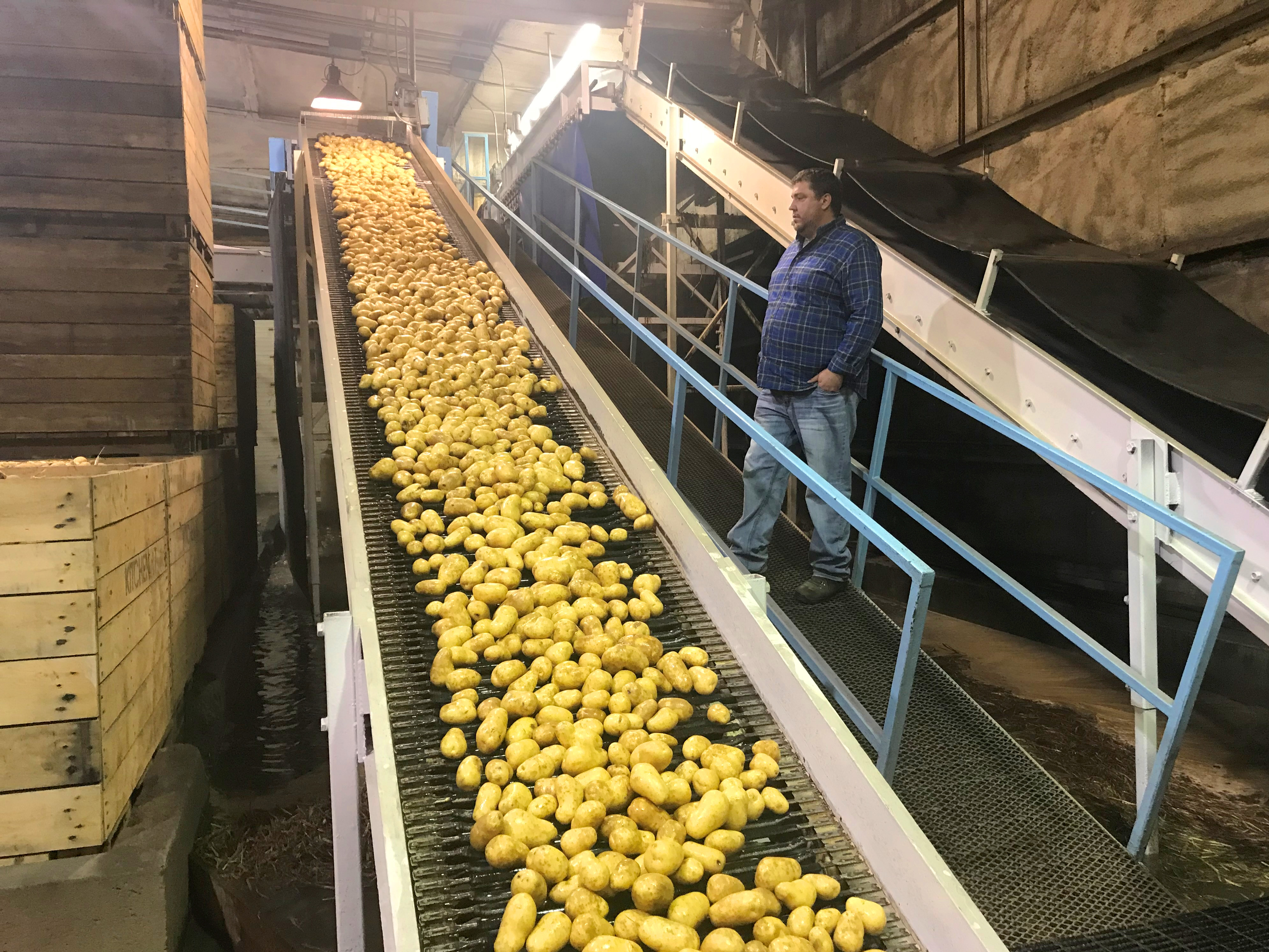 Don Kitchen watching potato processing