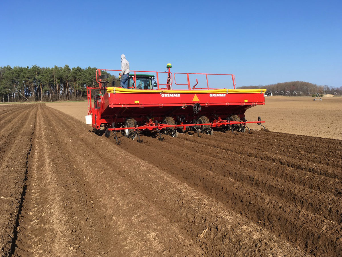 Sandyland planter planting potatoes