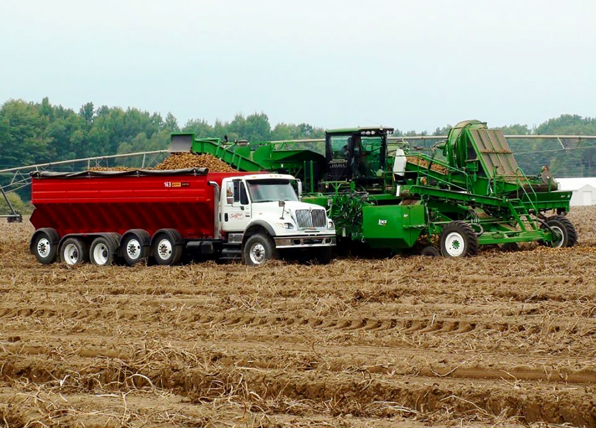 Sandyland harvester