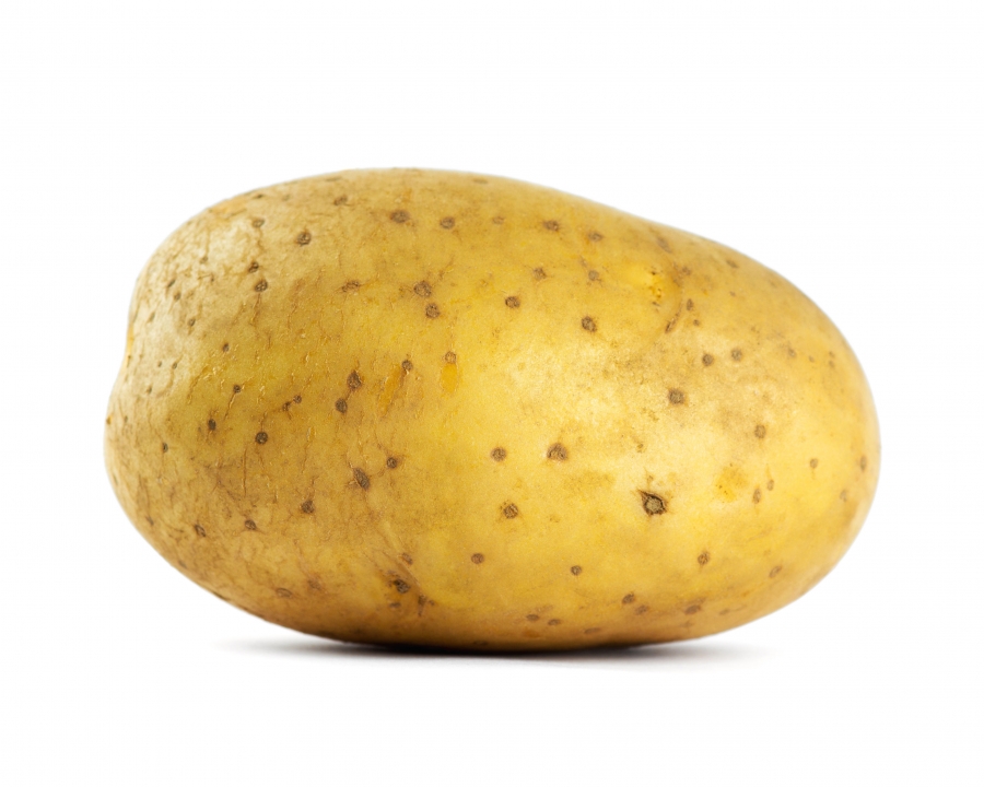 Yellow Potato