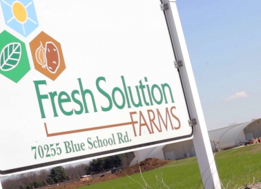 Fresh Solutions Sign