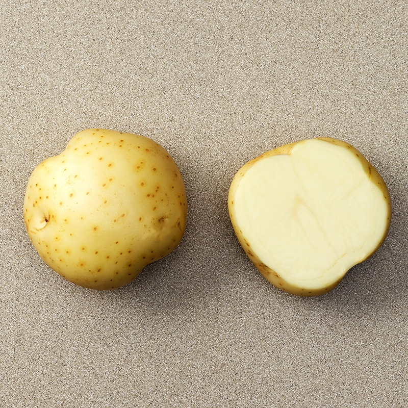 A white potato cut in half