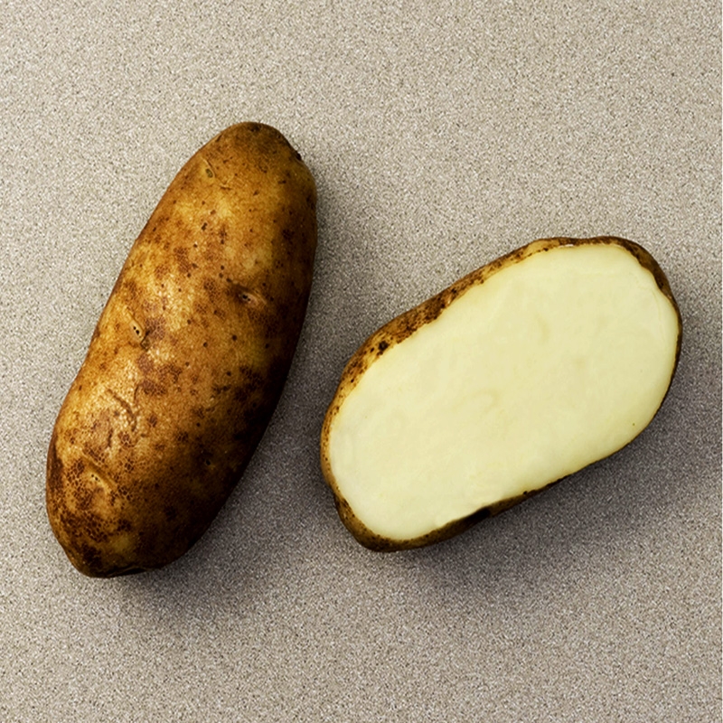 A Russet potato cut in half