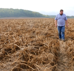Don Kitchen inspecting his fields