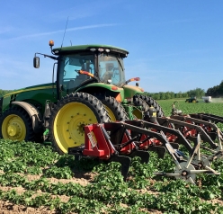 Sandyland tractor tilling their field