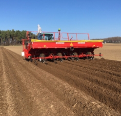 Sandyland planter planting potatoes