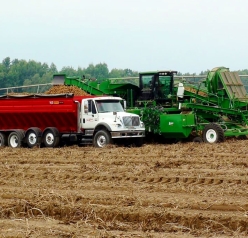 Sandyland harvester