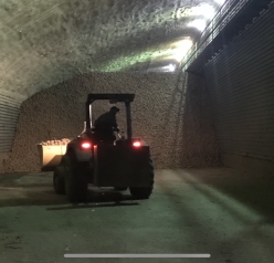 Potato storage